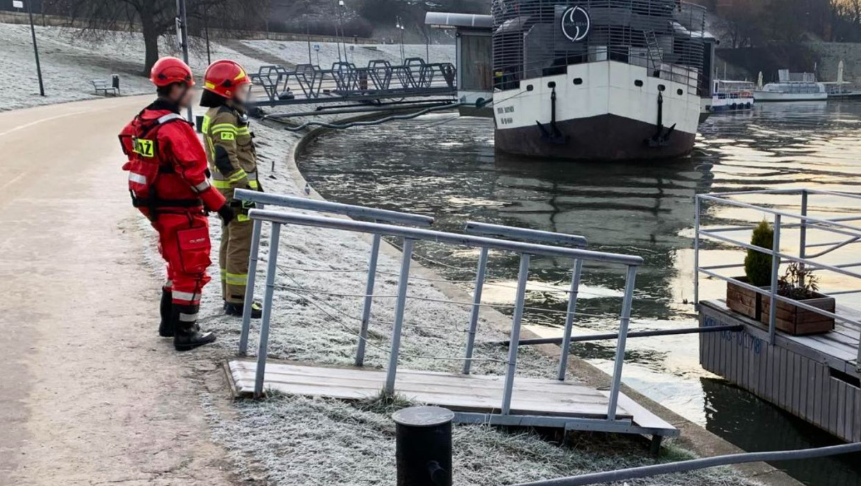 Nietypowa interwencja strażaków nad Wisłą w Krakowie. Sarna na krze lodowej