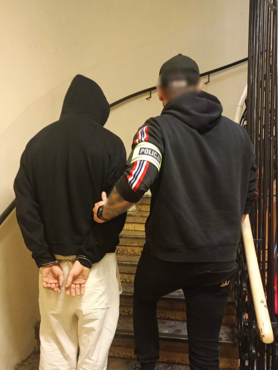 Znaleziono ciężko rannego królika w centrum Krakowa. Policja ustaliła sprawcę