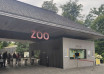 "ZOO Kraków"