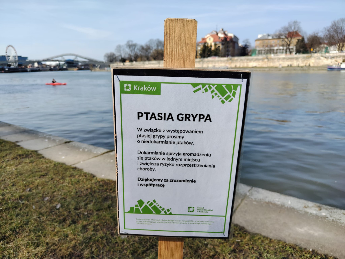W Krakowie pojawiły się tablice informacyjne. To efekt wykrycia HPAI