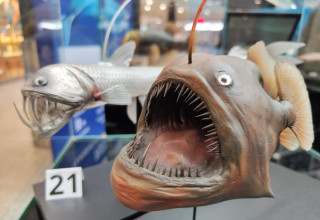 "Wystawa w Galerii Krakowskiej"