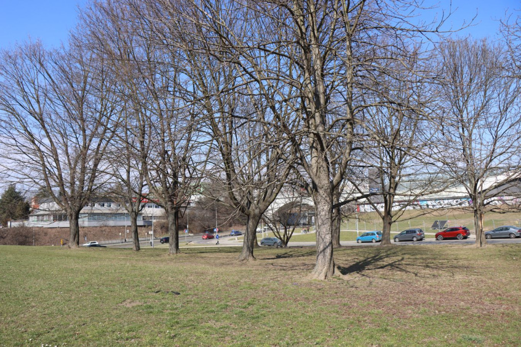 "Węzeł przesiadkowy w Bronowicach"