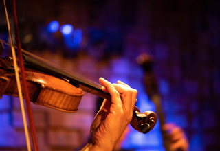 "Koncert w Krakowie"