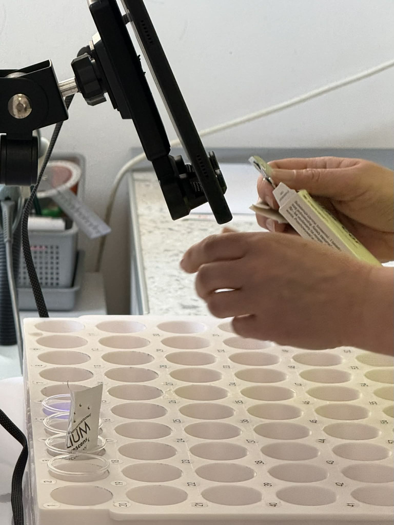 "Elektroniczne tace na leki w szpitalu wojskowym"