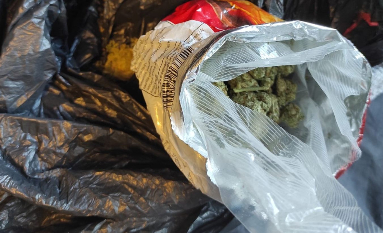 Nowa Huta. Matka znalazła marihuanę w pokoju syna i ruszyła na komisariat