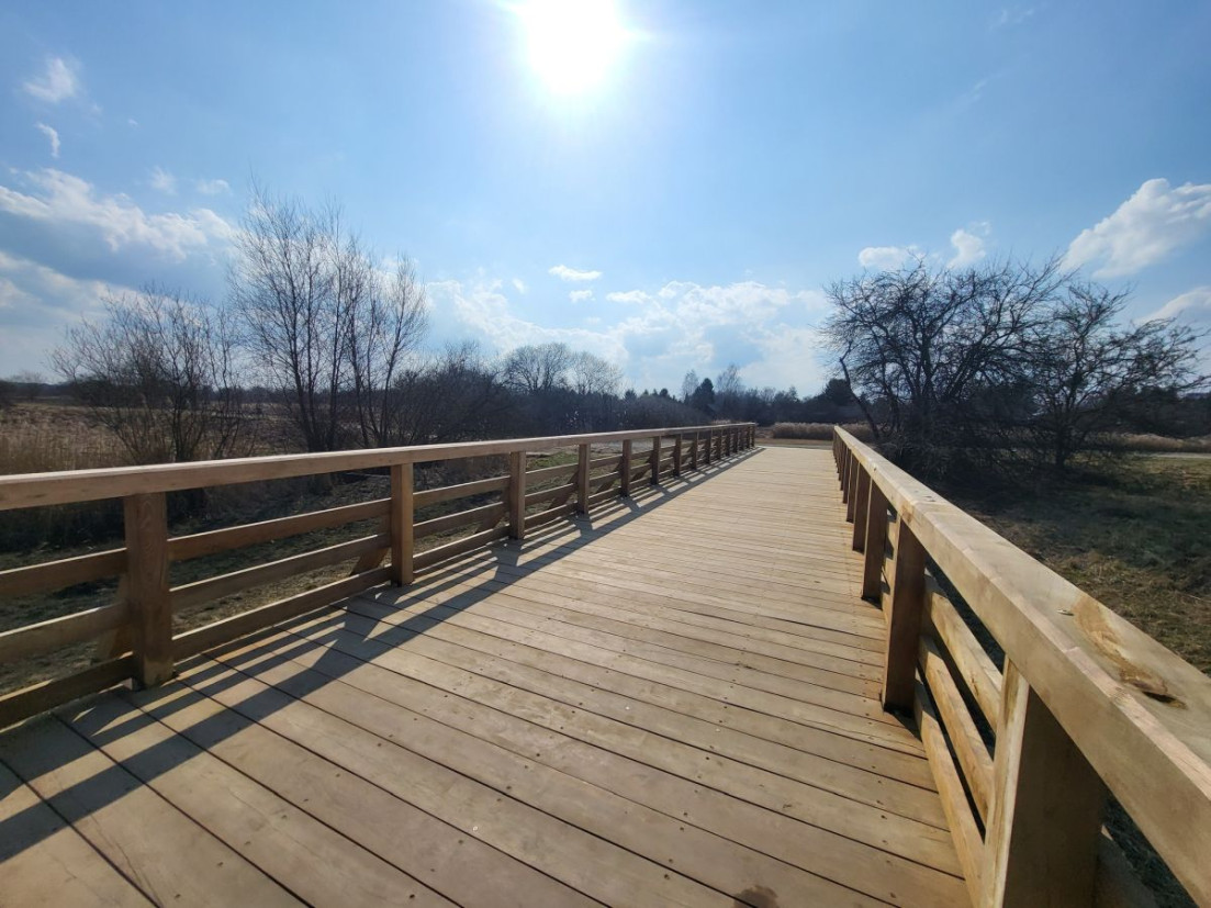 Wybudowano nowy pomost widokowy. Mieszkańcy Krakowa mogą już korzystać [ZDJĘCIA]