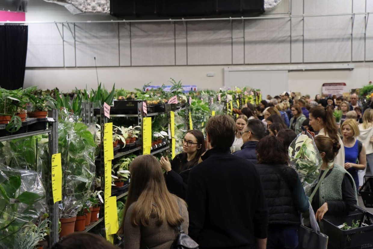 Festiwal Roślin w Krakowie. Ogromny wybór i darmowy wstęp [ZDJĘCIA]