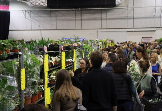 "Festiwal Roślin w Krakowie"