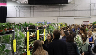 "Festiwal Roślin w Krakowie"