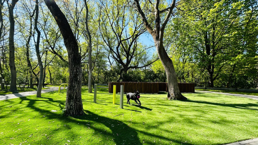 "Nowy wybieg dla psów w Krakowie"