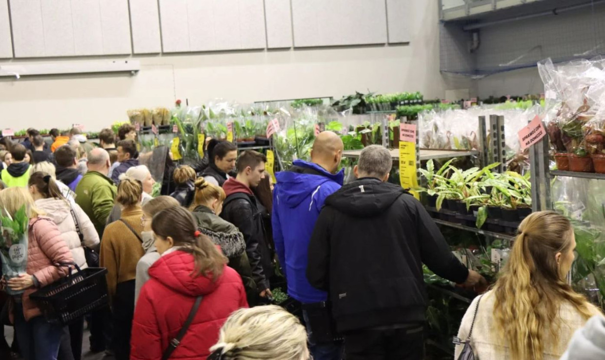 Kraków znów przyciągnie miłośników zieleni. Festiwal Roślin nadchodzi