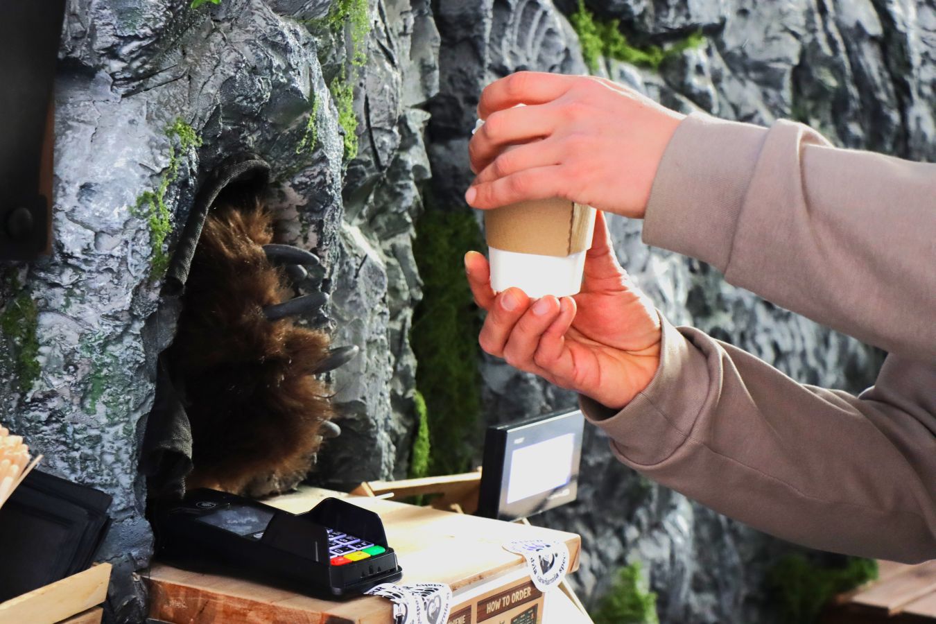 Niedźwiedź serwuje kawę w Krakowie. Takiej kawiarni jeszcze nie było [ZDJĘCIA]