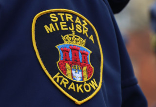 "straż miejska"