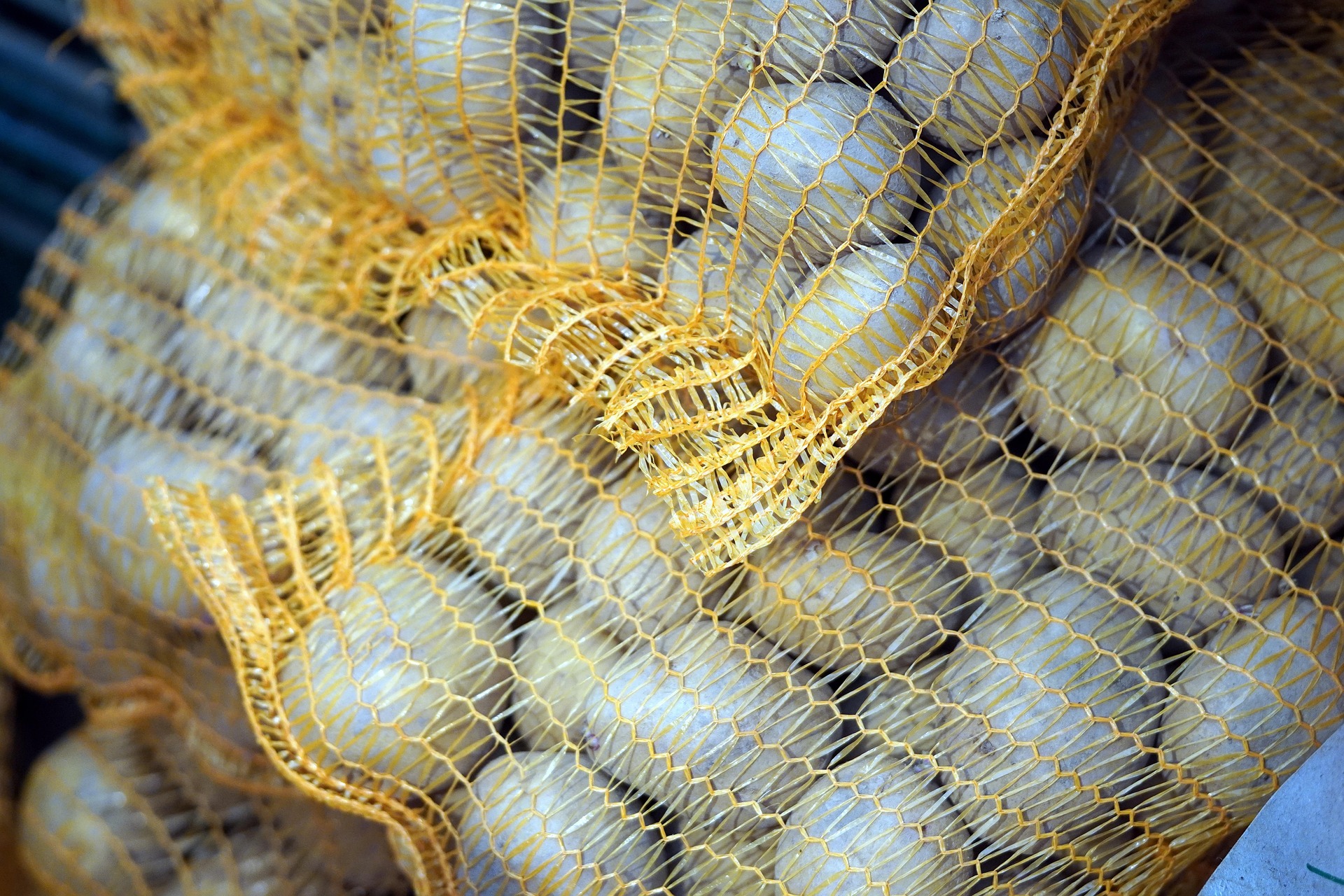 Darmowe warzywa w Krakowie. Start wielkiej akcji już w poniedziałek