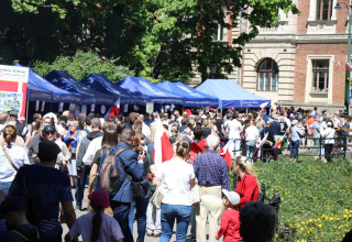 "3 maj w Krakowie"
