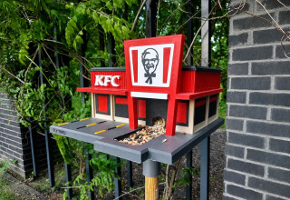 "Karmnik dla ptaków KFC w Krakowie"