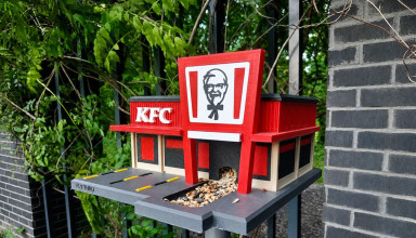 "Karmnik dla ptaków KFC w Krakowie"