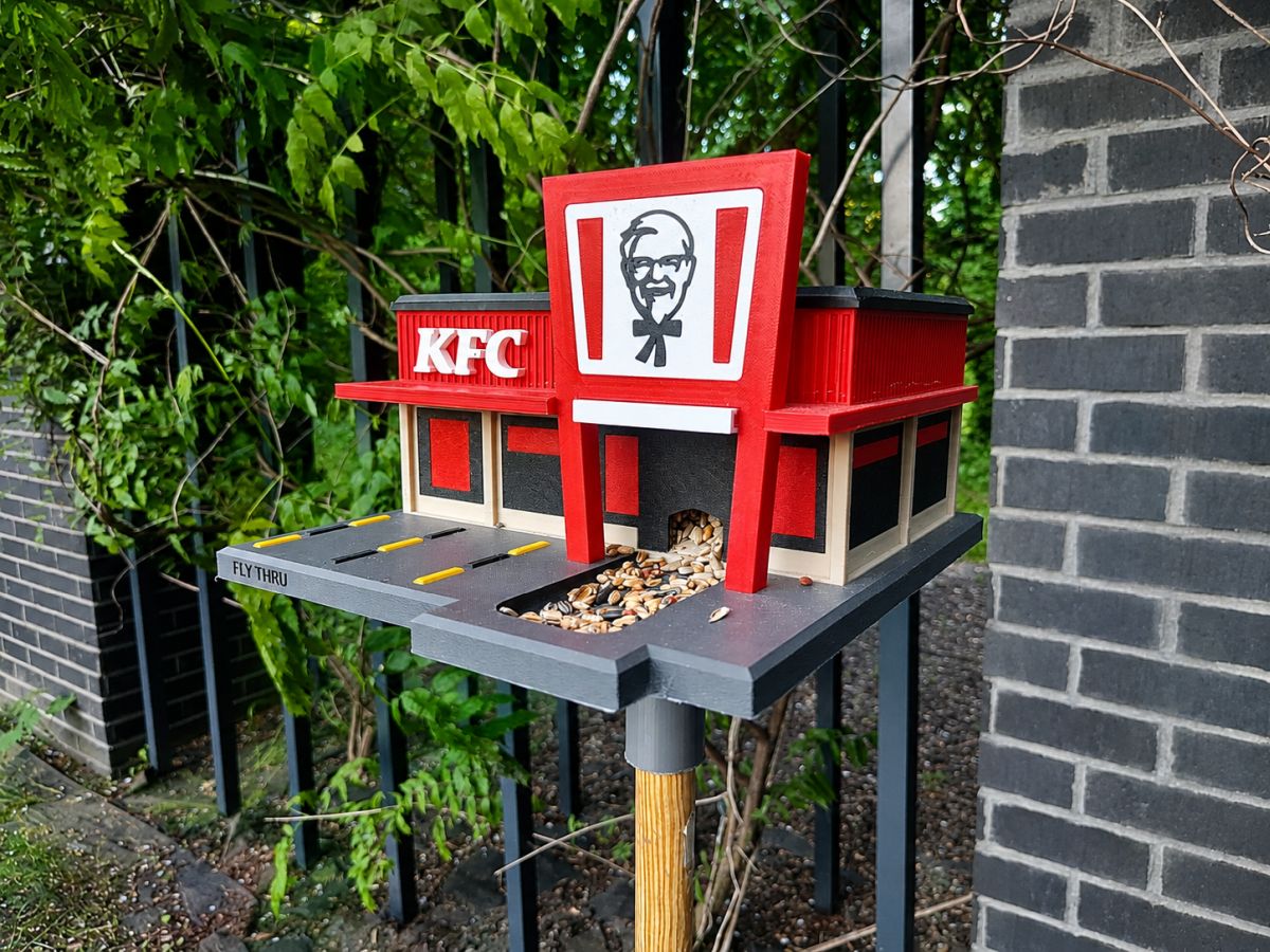 KFC w wersji dla skrzydlatych klientów. Ten karmnik z Krakowa zaskakuje detalami [ZDJĘCIA]