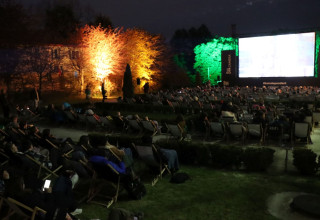"Kino w Ogrodzie Botanicznym"