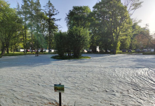 "łąka kwietna przy al. Andersa w Krakowie"