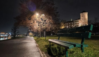 "Zamek Królewski na Wawelu"