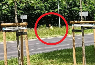 "Zrywała kwiaty z miejskiej łąki"