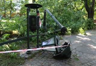 "Konar na Plantach, drzewo spało na ławkę i latarnię"
