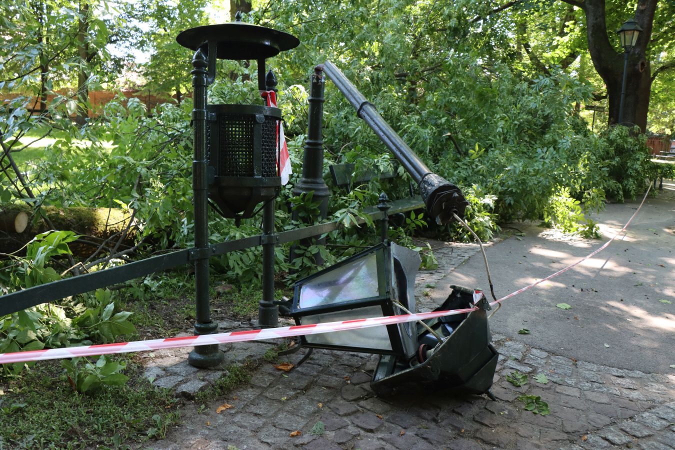 Niebezpieczne zdarzenie na Plantach. Konar spadł na ławkę i latarnię [ZDJĘCIA]