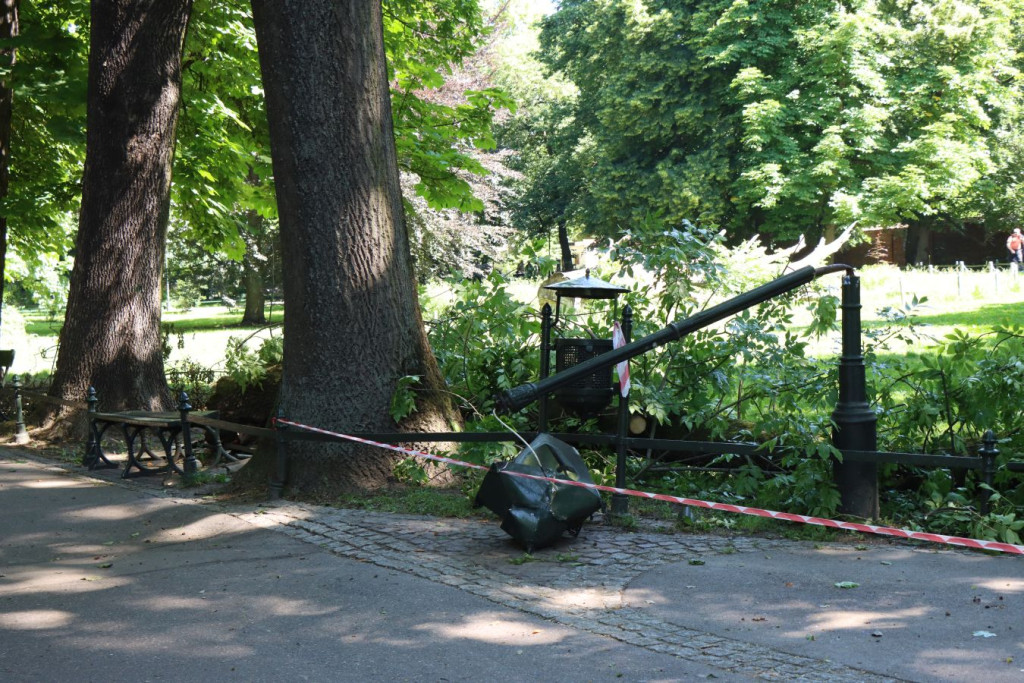 "Konar na Plantach, drzewo spało na ławkę i latarnię"
