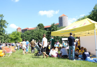 "Smoczy piknik pod Wawelem"