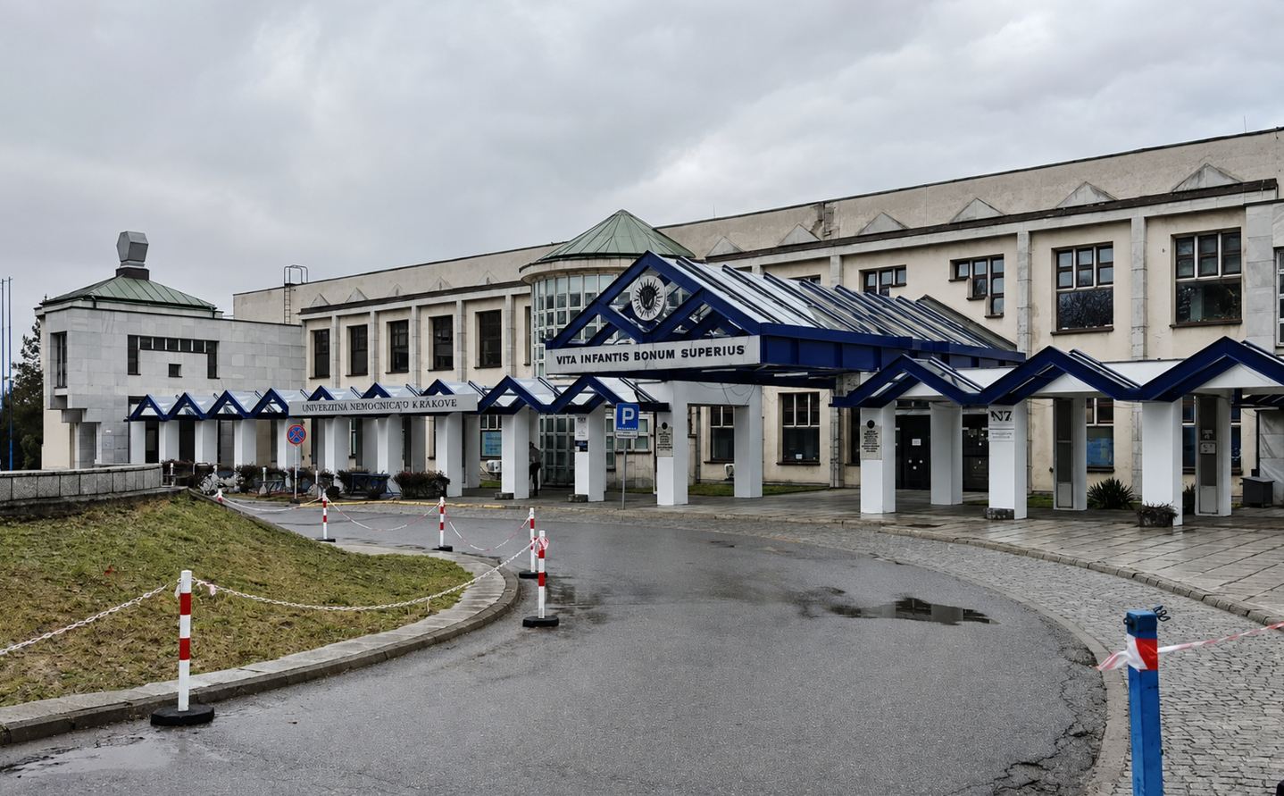 Nastolatek ukąszony przez żmiję lewantyńską. Surowica dotarła do Krakowa samolotem