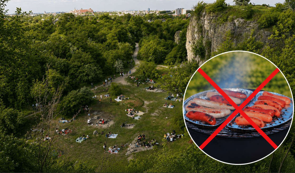To koniec grillowania na Zakrzówku. Strefa została zlikwidowana