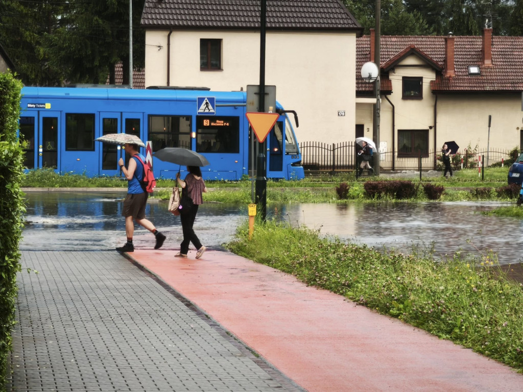 "Zdjęcie"
