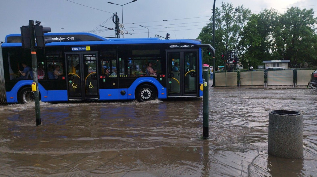 "Zdjęcie"