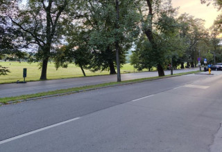 "Błonia"