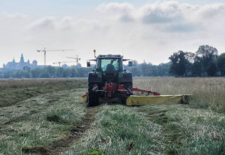 "Sianokosy błonia krakowskie"