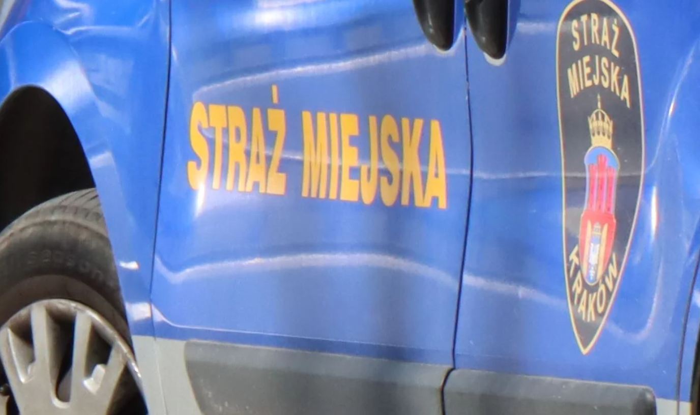 Straż miejska interweniowała setki razy. Najwięcej wykroczeń na Zakrzówku