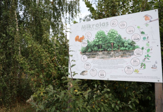 "Mikrolas w Krakowie"