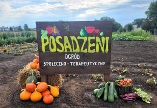 "Więzniowie prowadzą ogród"