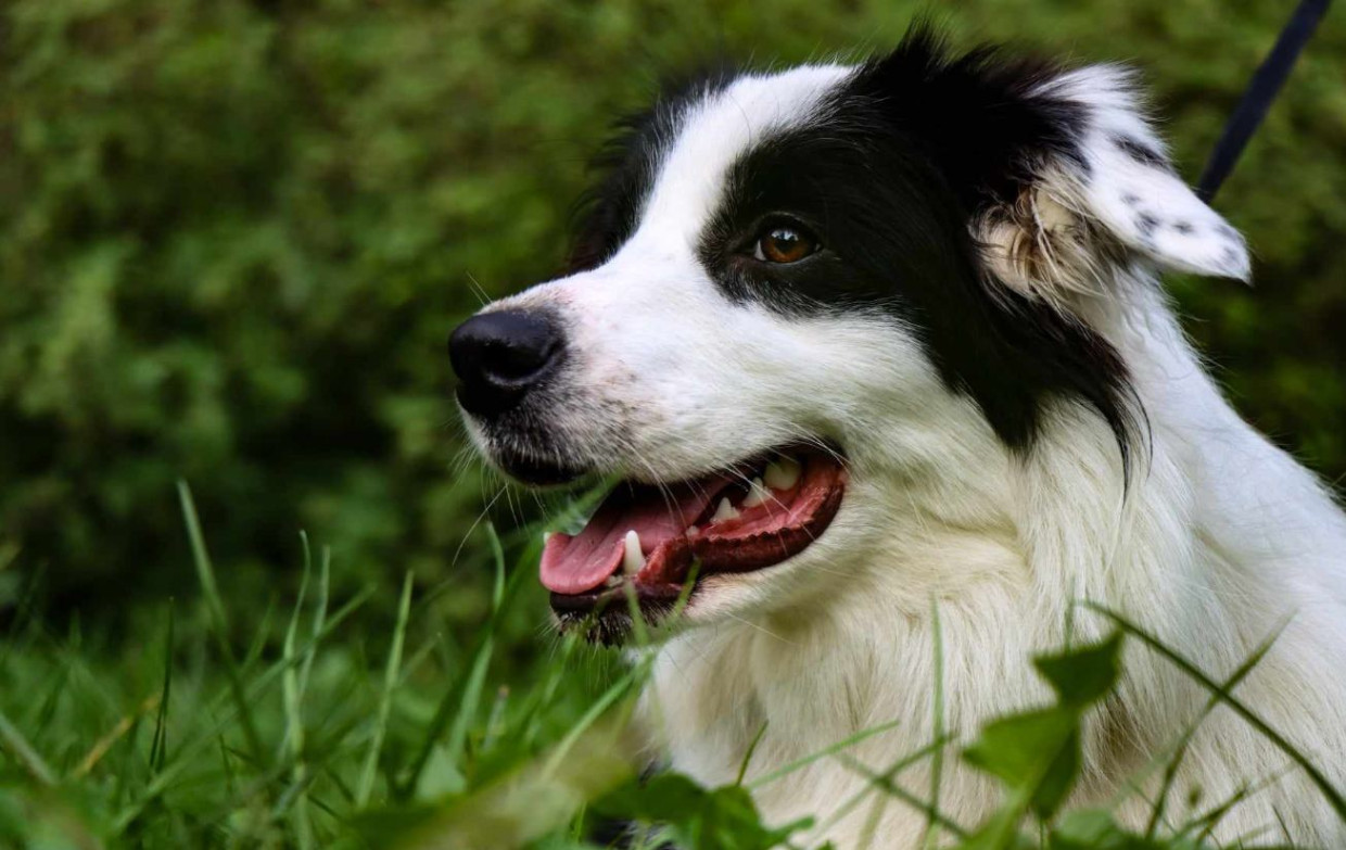 Pupile razem ze swoimi opiekunami. Wyjątkowa Msza odbędzie się w Krakowie