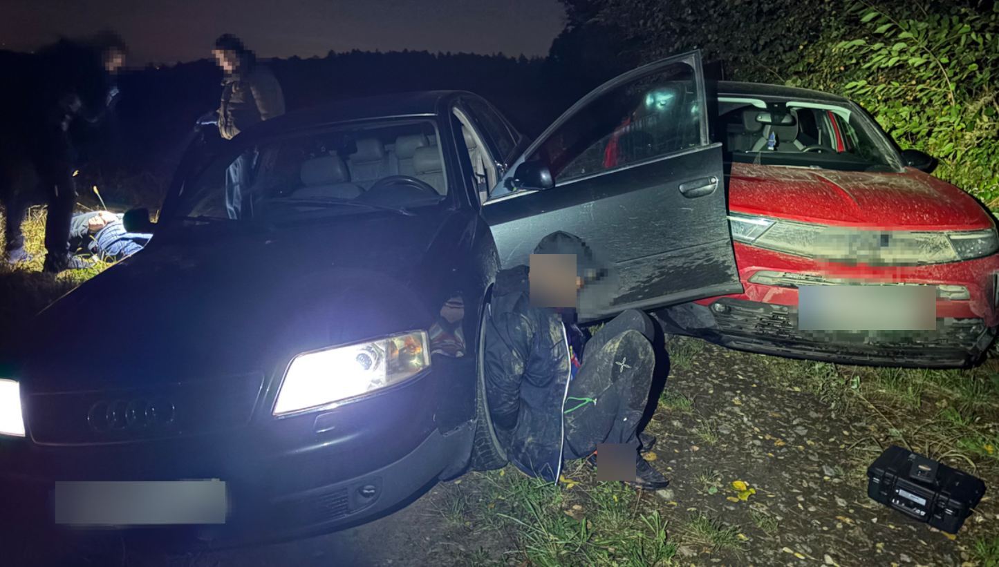 Ucieczka przed żabolami pod Krakowem