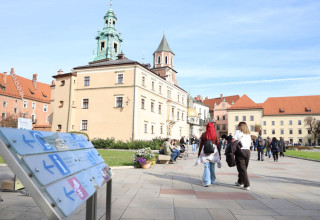 "Zamek królewski na Wawelu"