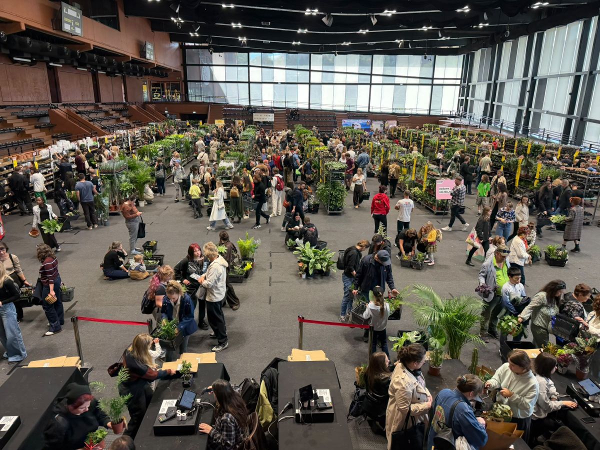 Festiwal Roślin wrócił do Krakowa [ZDJĘCIA]
