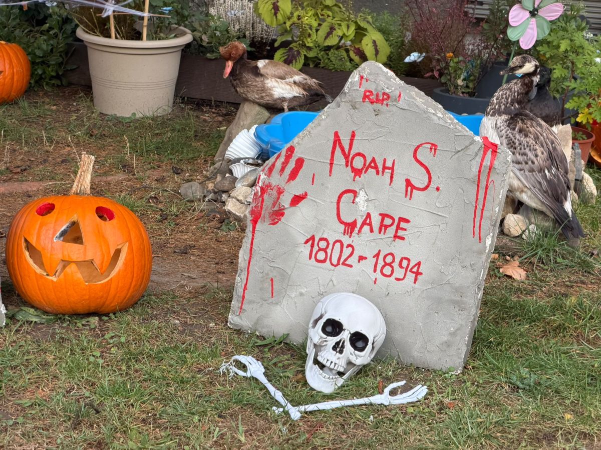 Przed tym blokiem w Nowej Hucie poczujecie klimat Halloween. Zobaczcie dekoracje [ZDJĘCIA]