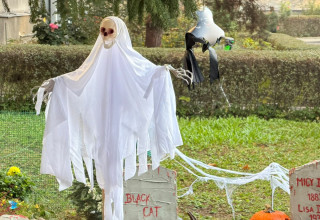 "Osiedle urocze wystrój halloween"