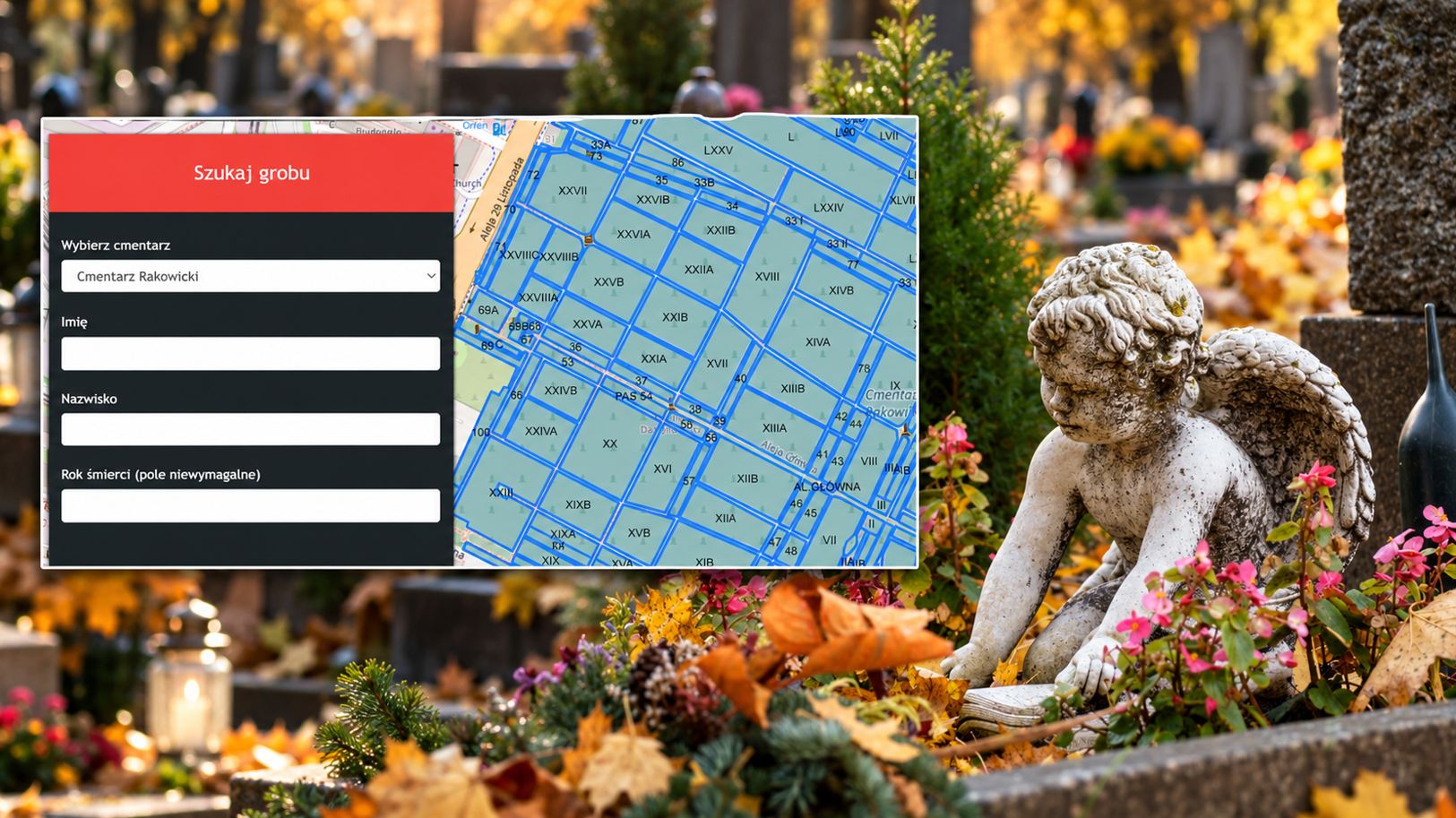 Internetowy lokalizator grobów w Krakowie. Tak sprawdzisz miejsce pochówku