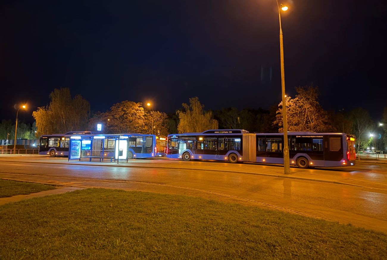 Zaczęło się od kontroli biletu w komunikacji miejskiej. Ukrainka musi opuścić Polskę