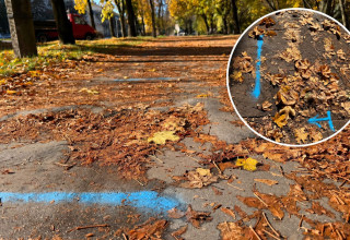 "Ścieżka rowerowa park szwedzki"