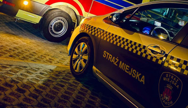"straż miejska"