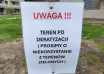 "szczur"